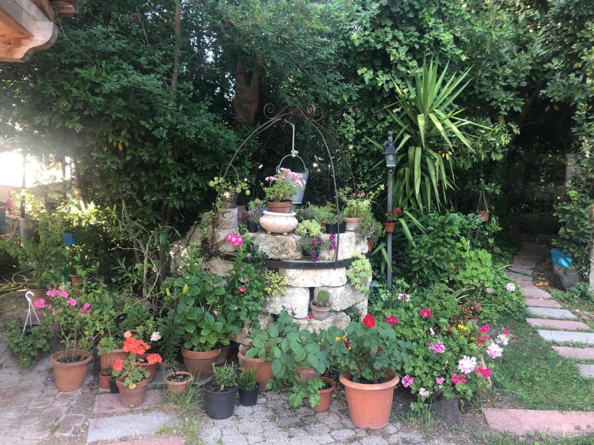 B&B Domo De Pedra Tottubella Εξωτερικό φωτογραφία